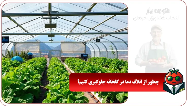 چطور از اتلاف دما در گلخانه جلوگیری کنیم