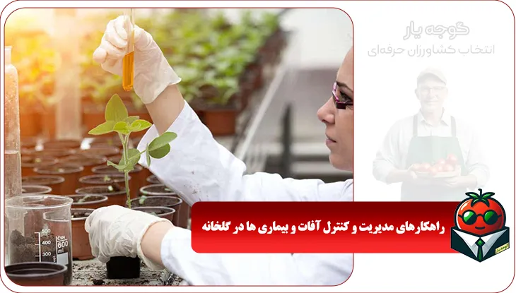 راهکارهای مدیریت و کنترل آفات و بیماری ها در گلخانه