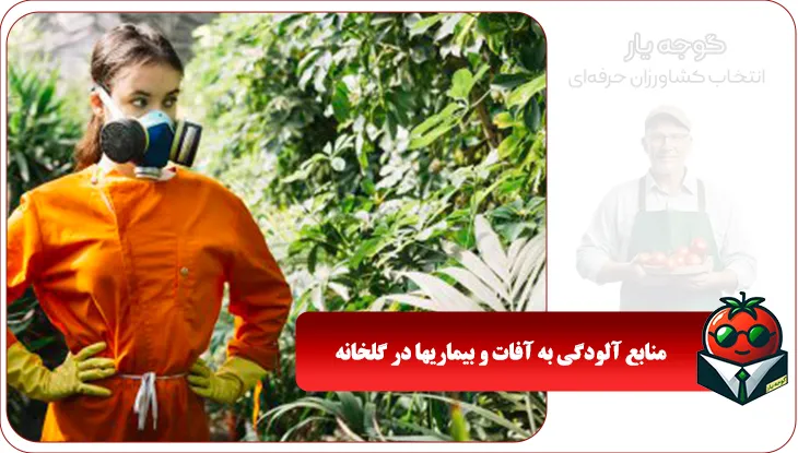 منابع آلودگی به آفات و بیماریها در گلخانه | 5 راهکار